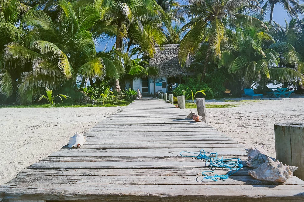pathway to the restaurant and bar