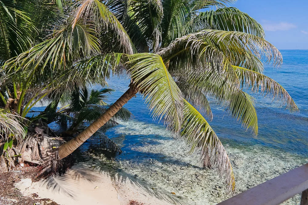 mini private beach
