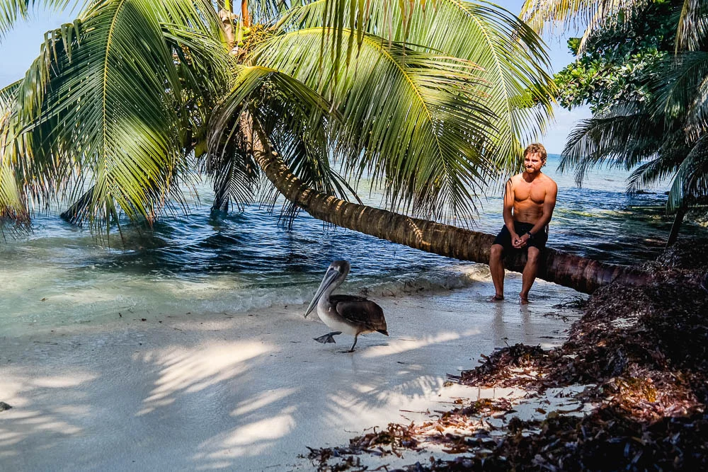 Rufus and his pelican companion