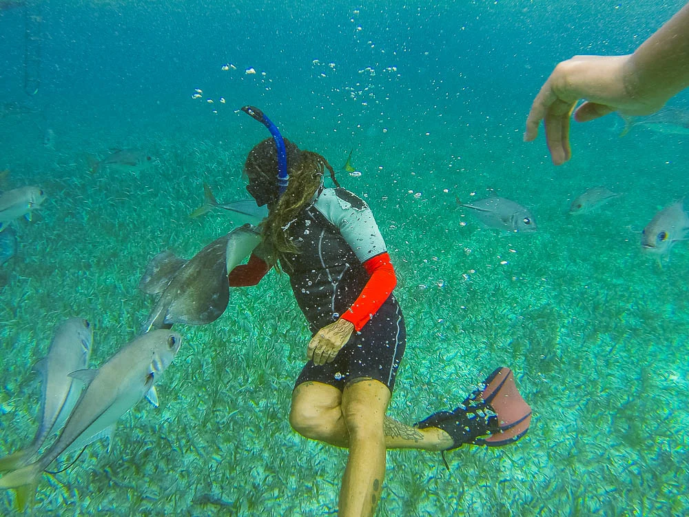 our guide, Ally, interacting with one of the rays - they know her well and greet her personally whenever she gets in the water