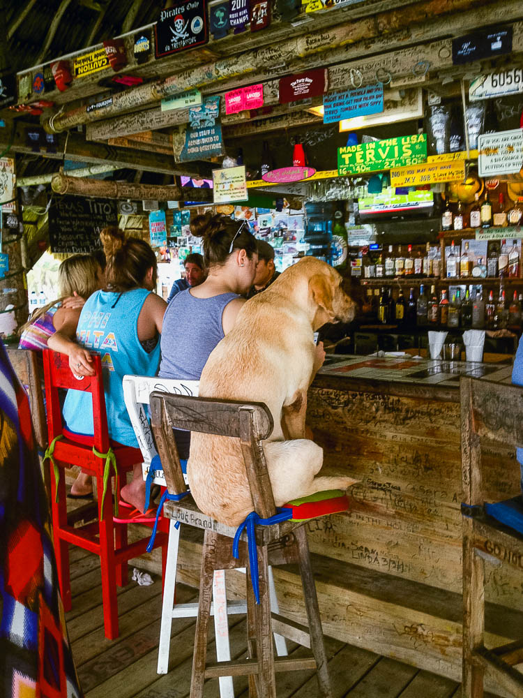 exploring the curious and colourful town of San Pedro, on Ambergris Caye, in the north of Belize. definitely worth a visit, if only for the locally hand-made organic chocolate (!!!).