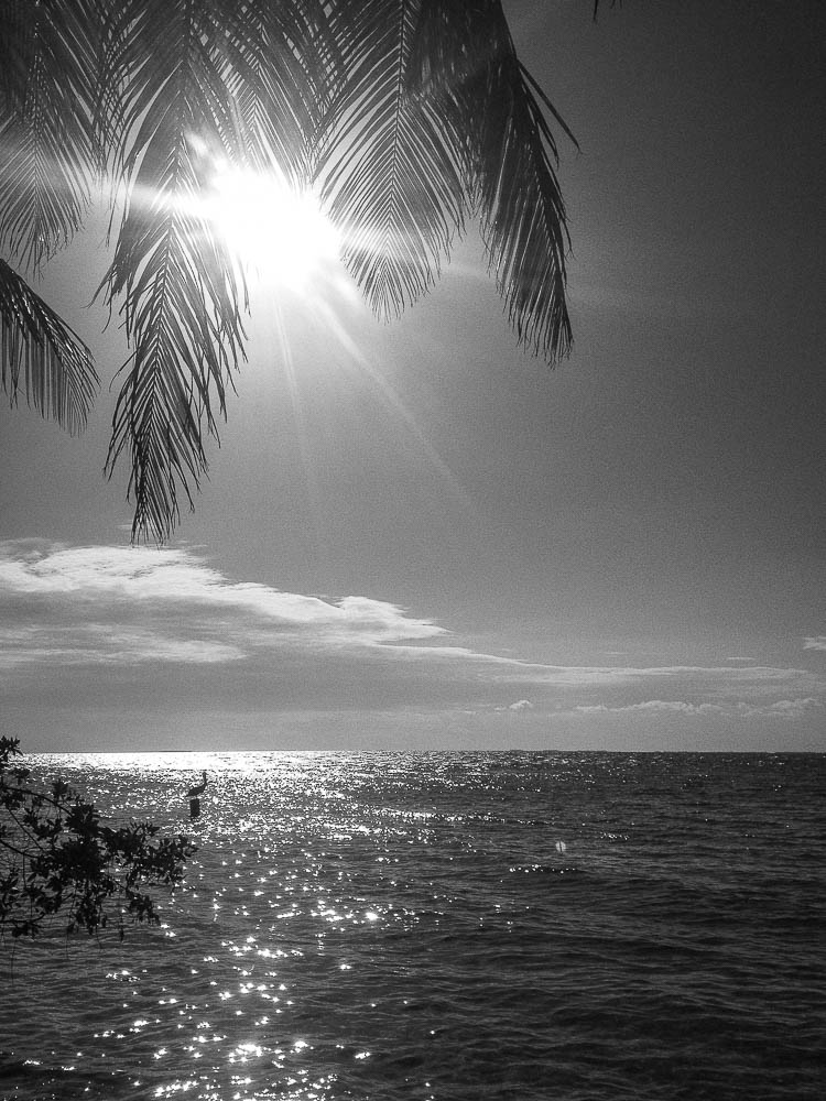sunset view from South Water Caye