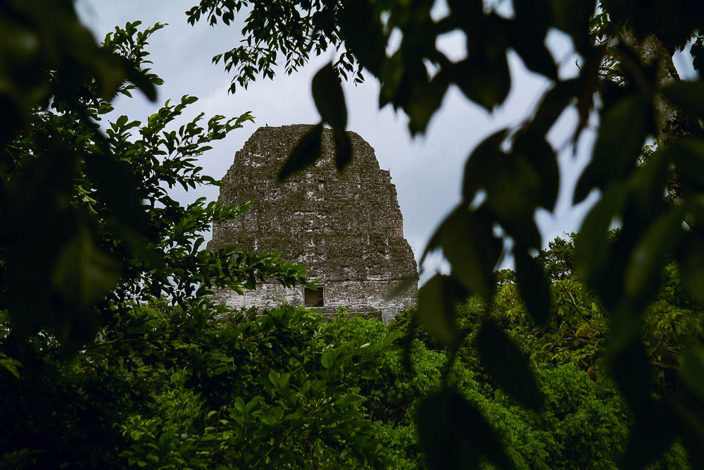 view of Temple IV from the palace
