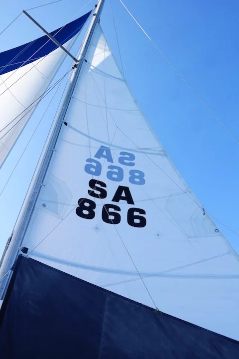New Main Sail 2014