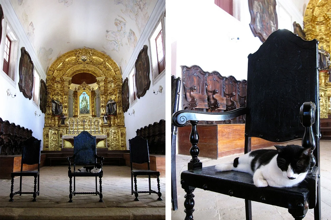 aBrandNewLife-OTL-Olinda-08.jpeg