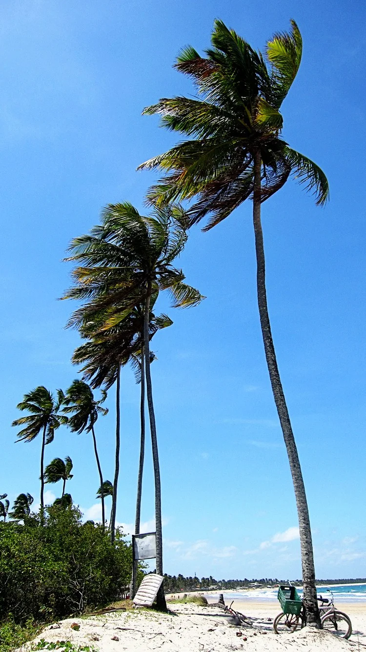 aBrandNewLife-OTL-PortoDeGalinhas-11.jpeg