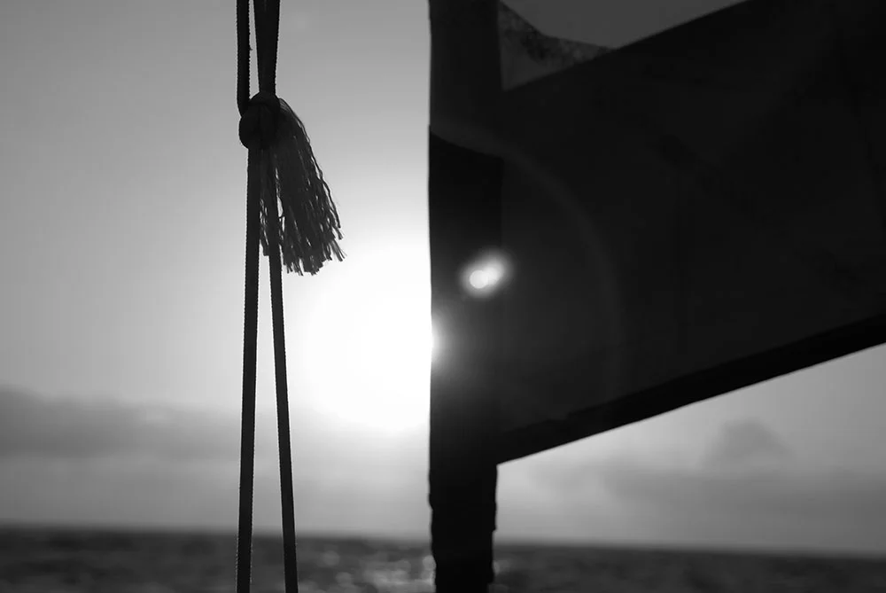 aBrandNewLife-OTL-AtlanticDays-01.jpeg