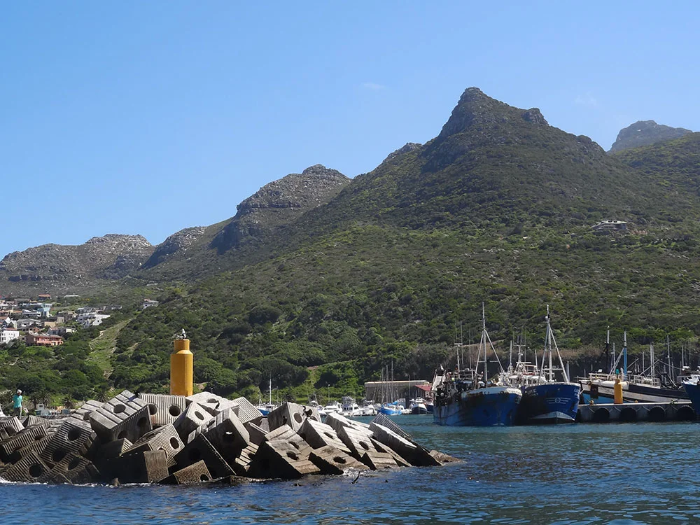 aBrandNewLife-OTL-SoLongCapeTown-04.jpeg