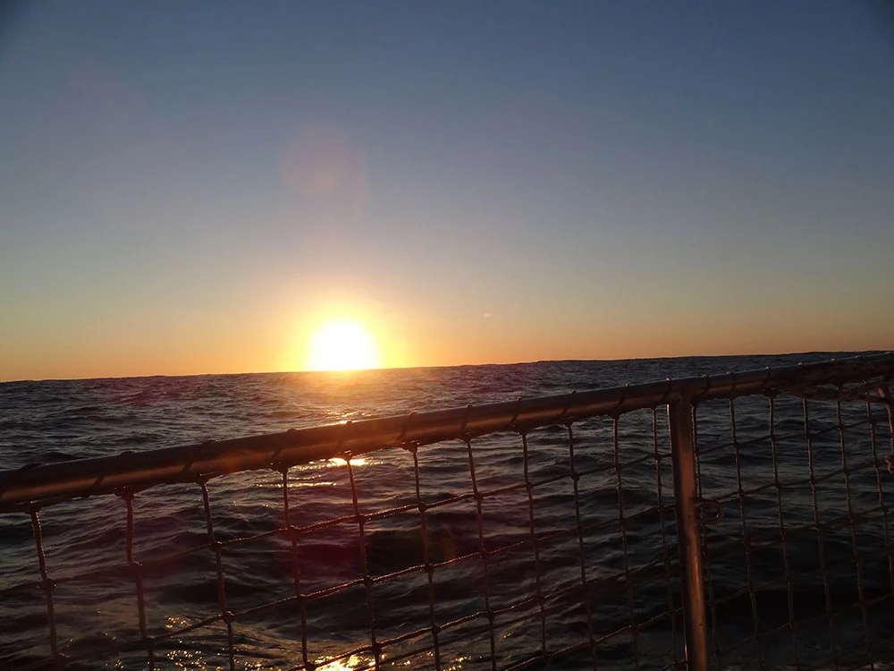 aBrandNewLife-OTL-SoLongCapeTown-15.jpeg