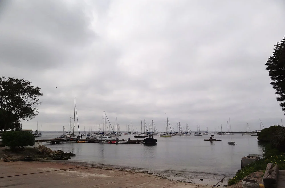 aBrandNewLife-OTL-SoLongCapeTown-18.jpeg