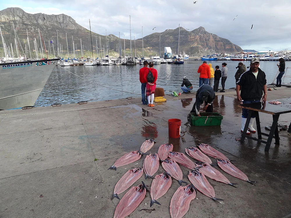 aBrandNewLife-OTL-FarewellFalseBay-27.jpeg