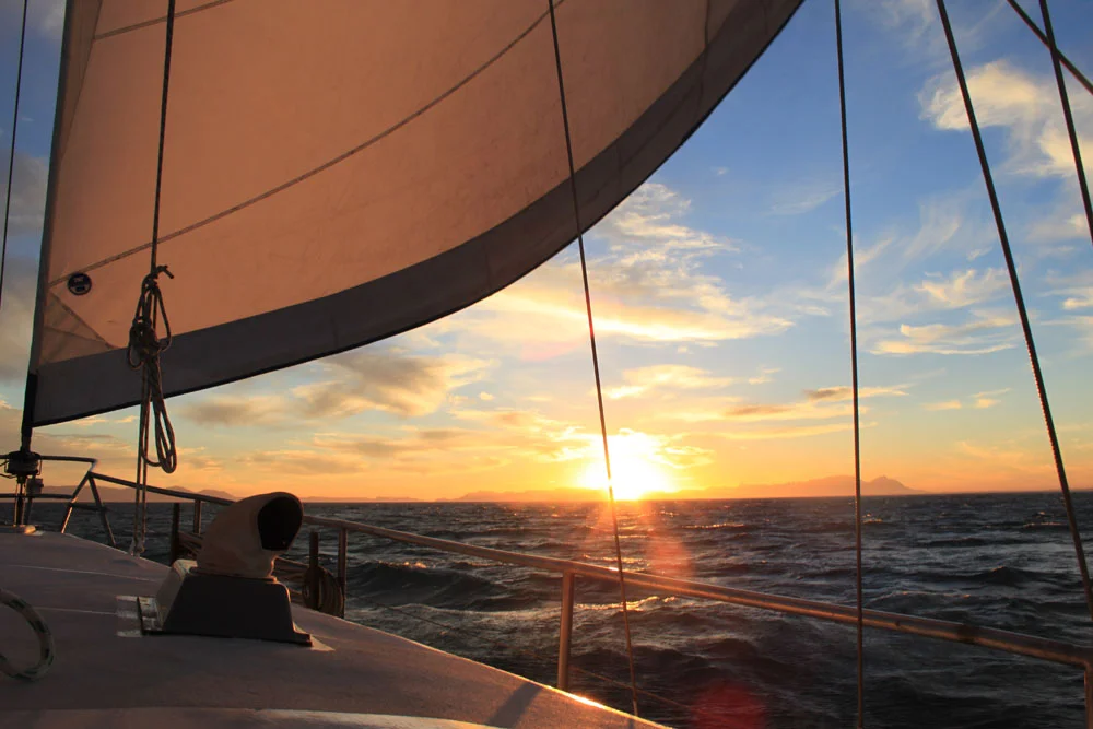 aBrandNewLife-OTL-SimonsTownSuccess-05.jpeg