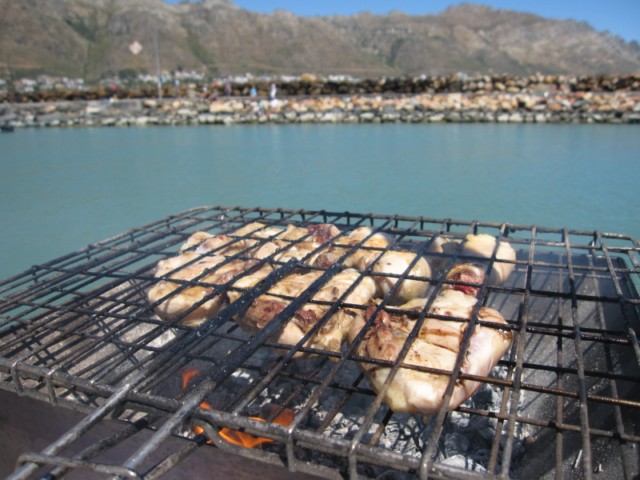 aBrandNewLife-OTL-EnjoyingOurBoat-02.jpeg