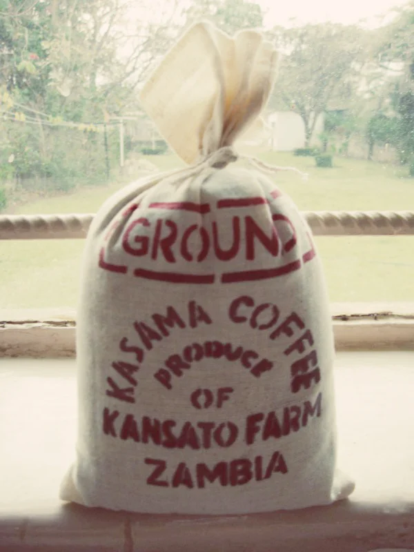 aBrandNewLife-OTL-Zambia-06.jpeg