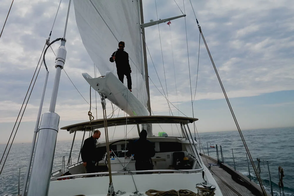 Rufus helping the Doyle team to fit and test the new sails