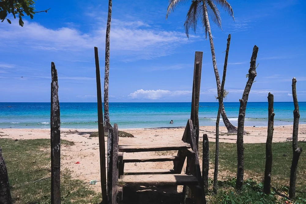 aBrandNewLife-Kusapin (31 of 53).jpg