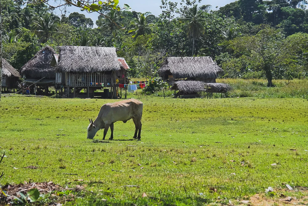 aBrandNewLife-Kusapin (42 of 53).jpg