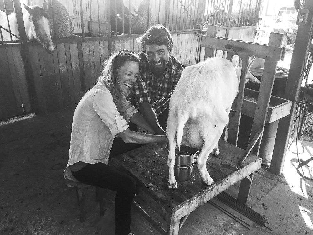 The first morning we arrived Andreas put us to work milking the goats - so much fun! photo: A.Jensen