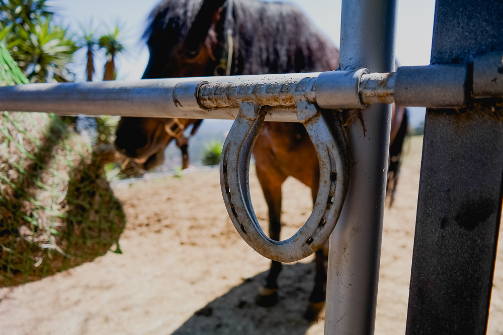 I loved the small details and thought that goes into every aspect of their farm and their home