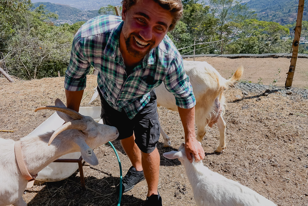 Rufus was a hit with the lady goats...