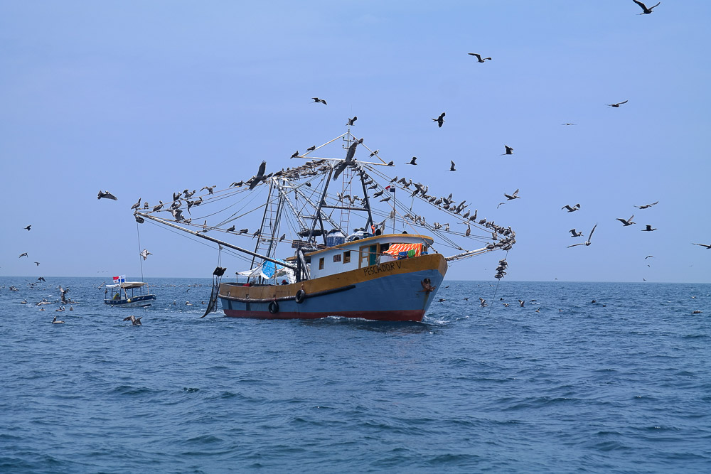 fishing boats along the South American coast