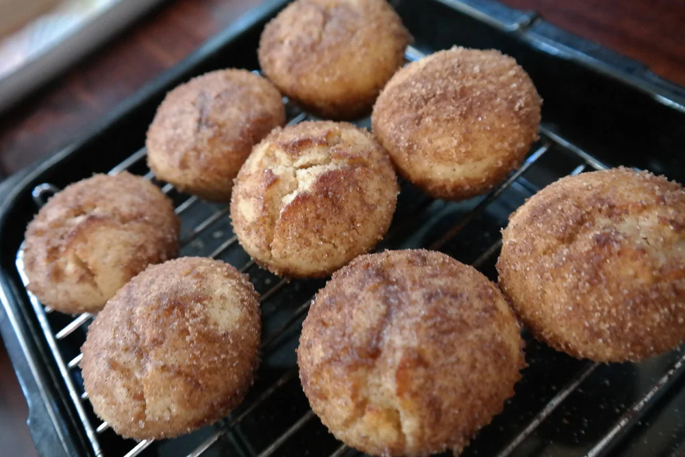 cinnamon doughnut balls