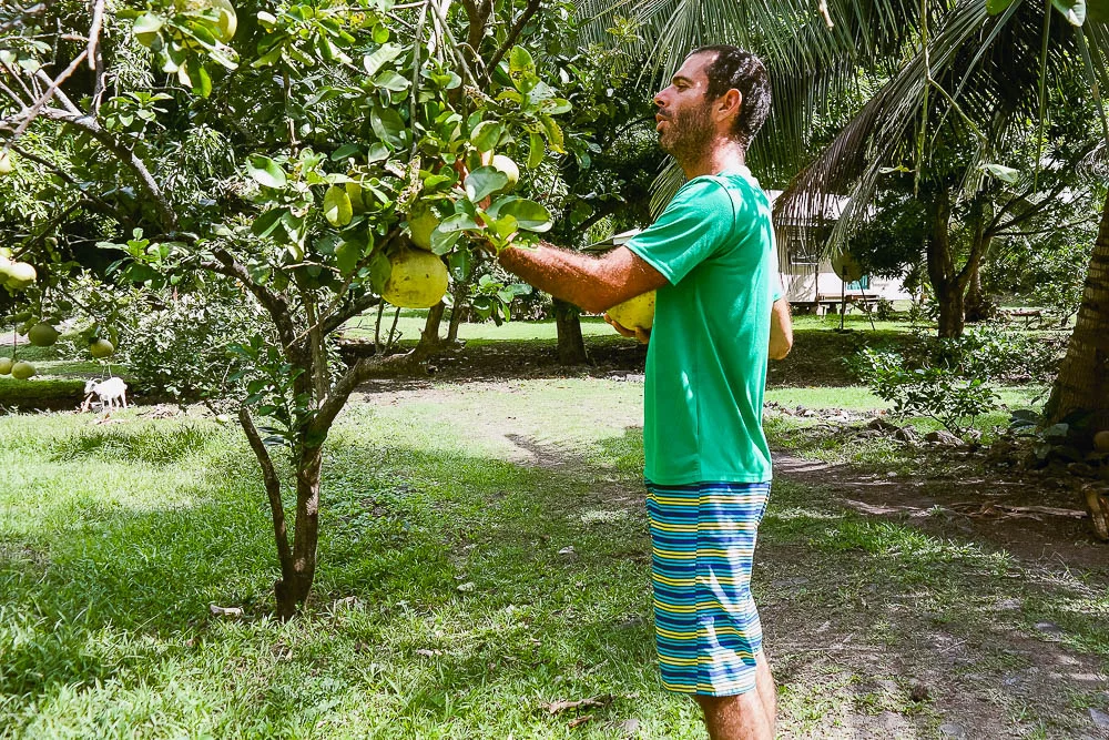 the locals let you pick the fruits from their gardens - no fruit is sold in the shops because of the natural abundance