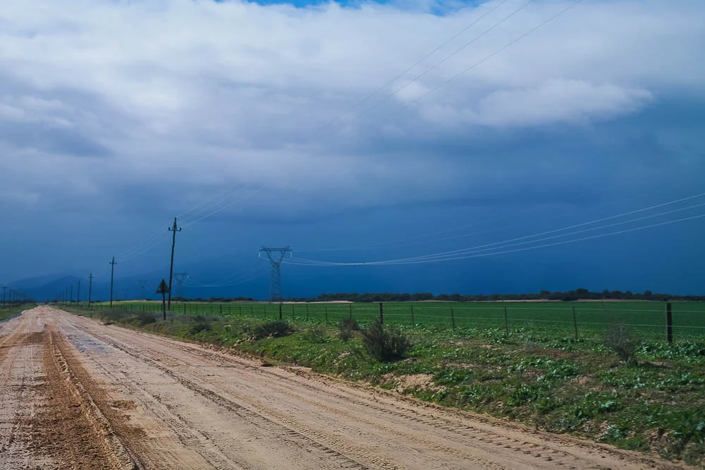 driving to the farm on a winter's weekend, one of our first destinations during our SA trip