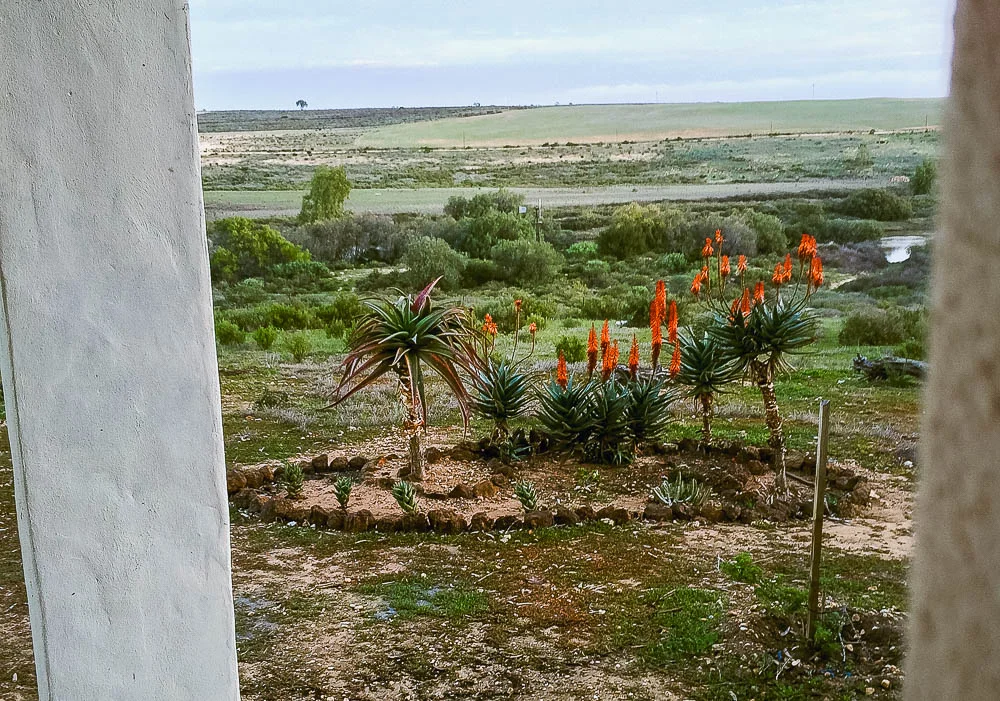view from our stoep