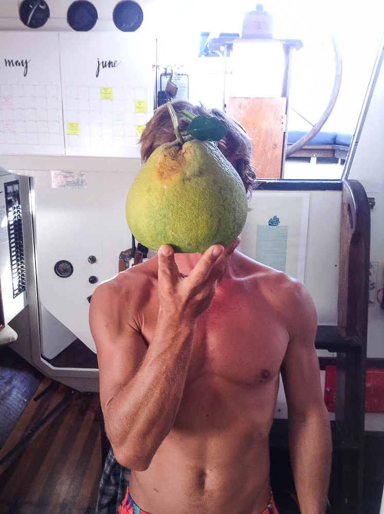 our FAVOURITE fruit - pamplemousse (grapefruit) which grows everywhere on the islands