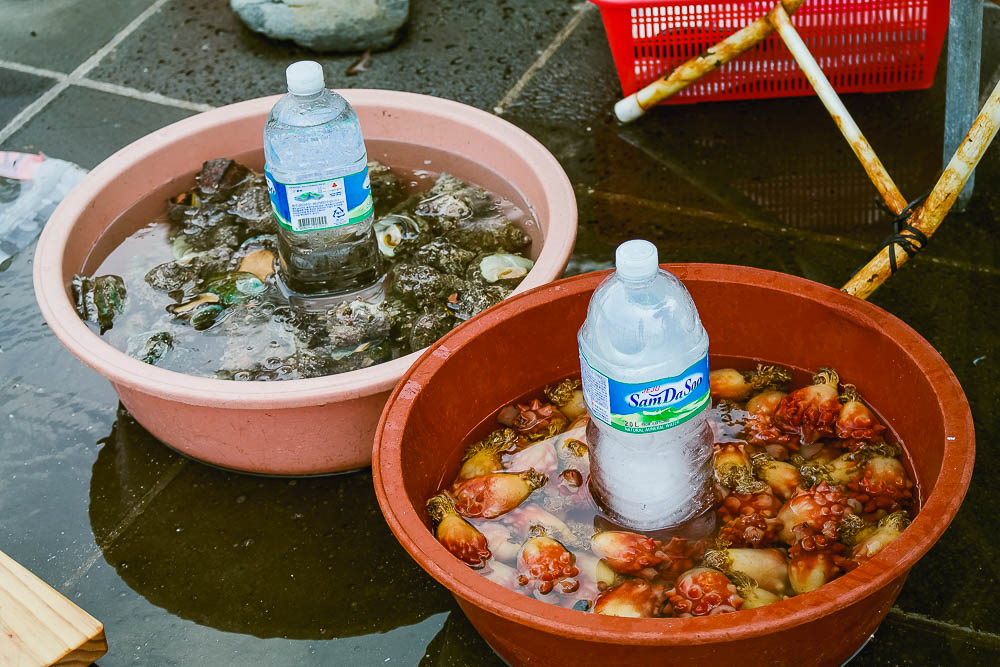 interesting seafood for sale along the promenade