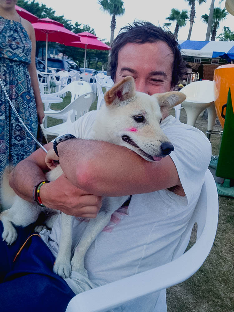 even the pets wear make-up in Korea and this cutie took a shine to Faan!