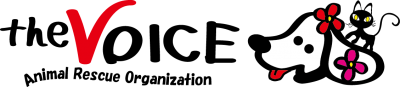 Voice-logo .png