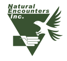 NEI Logo.png