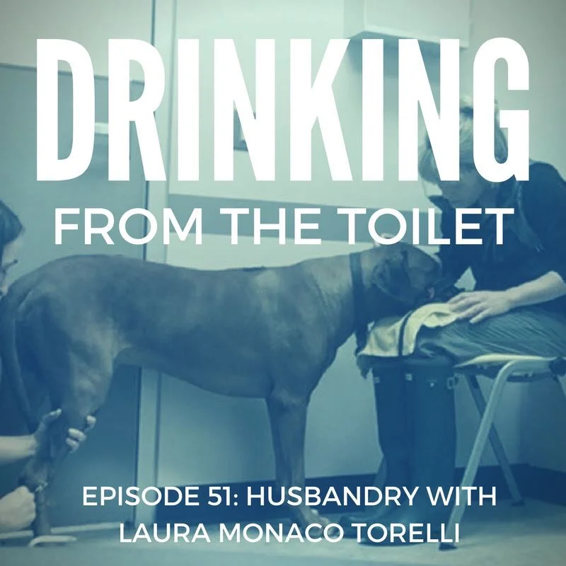 Drinking From the Toilet episode image.jpg
