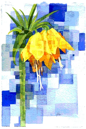 Fritillaria