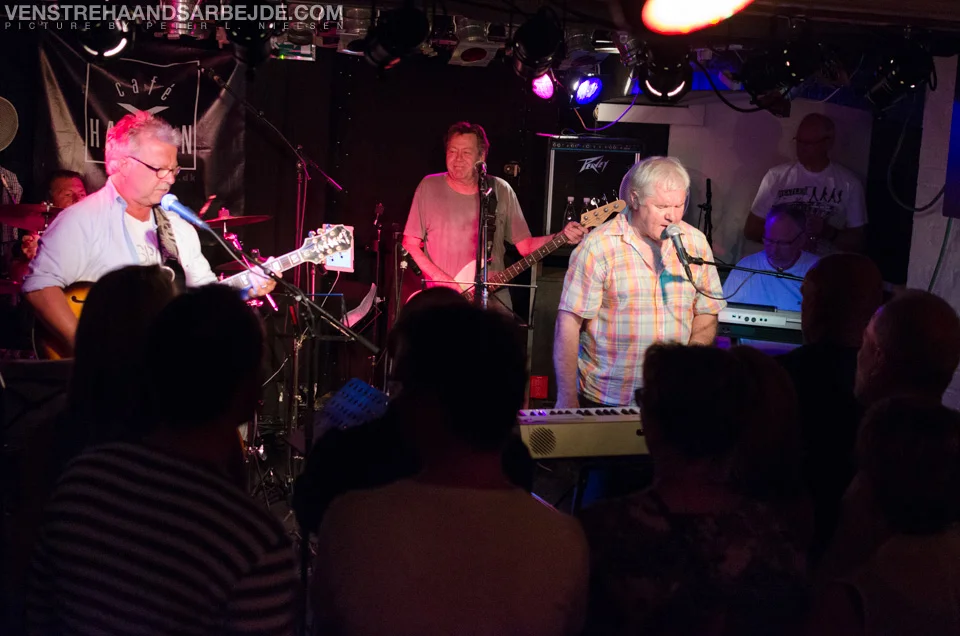 honky-28.jpg
