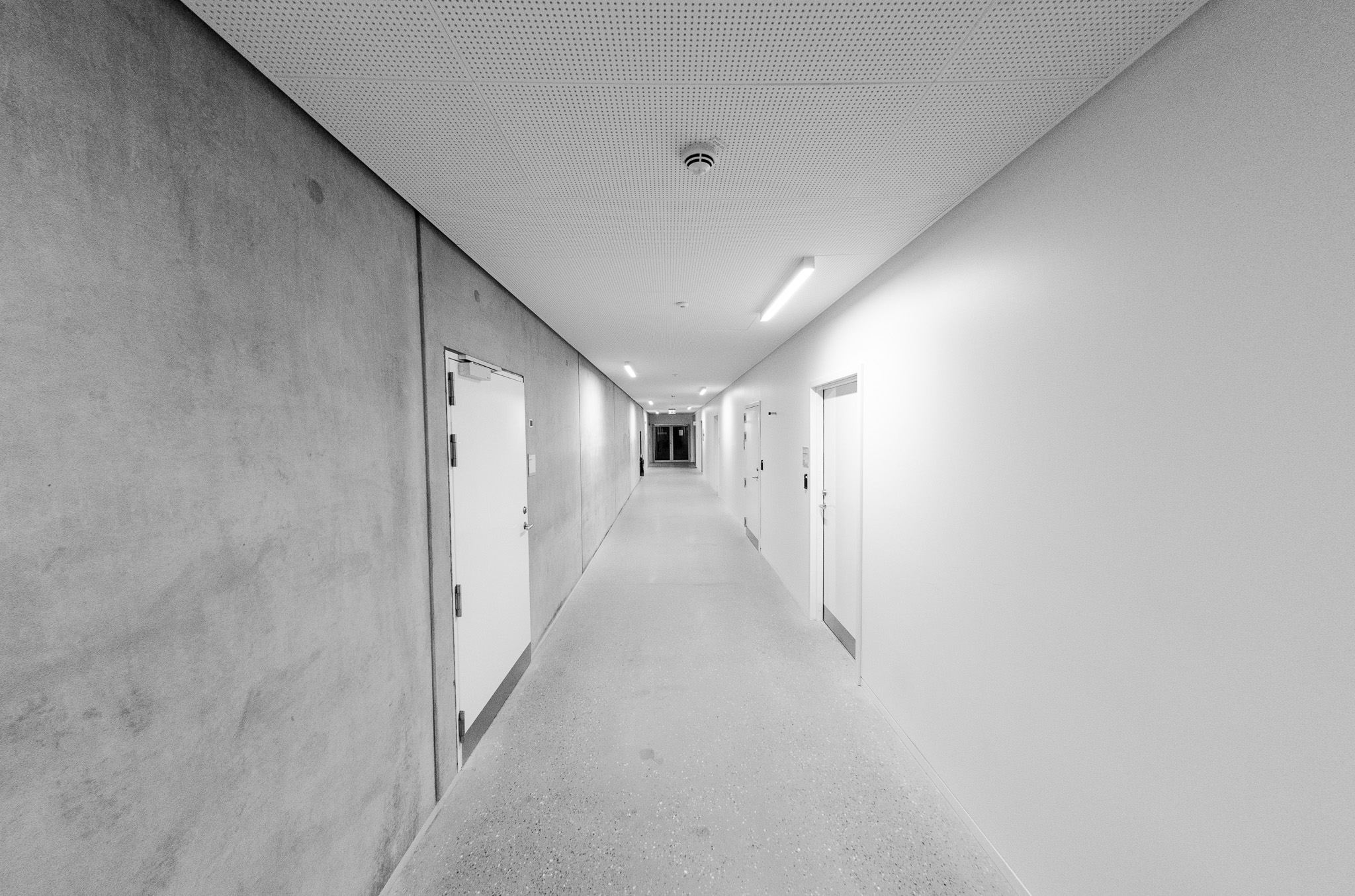 140828-350.jpg