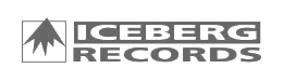 iceberg.png