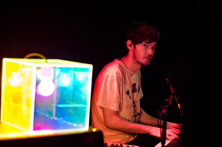 TREEFIGHT FOR SUNLIGHT