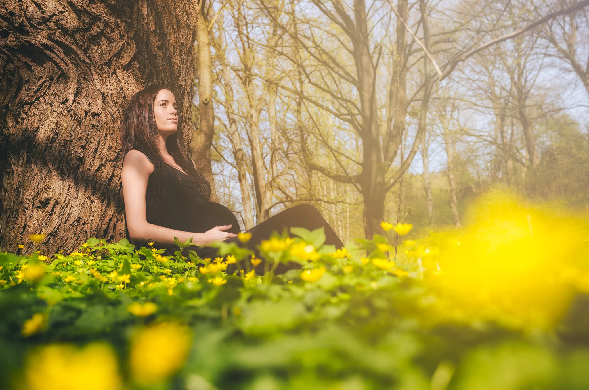 Undersøgelse: Professionelle billeder huskes bedre