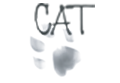 cat-media-logo2.png