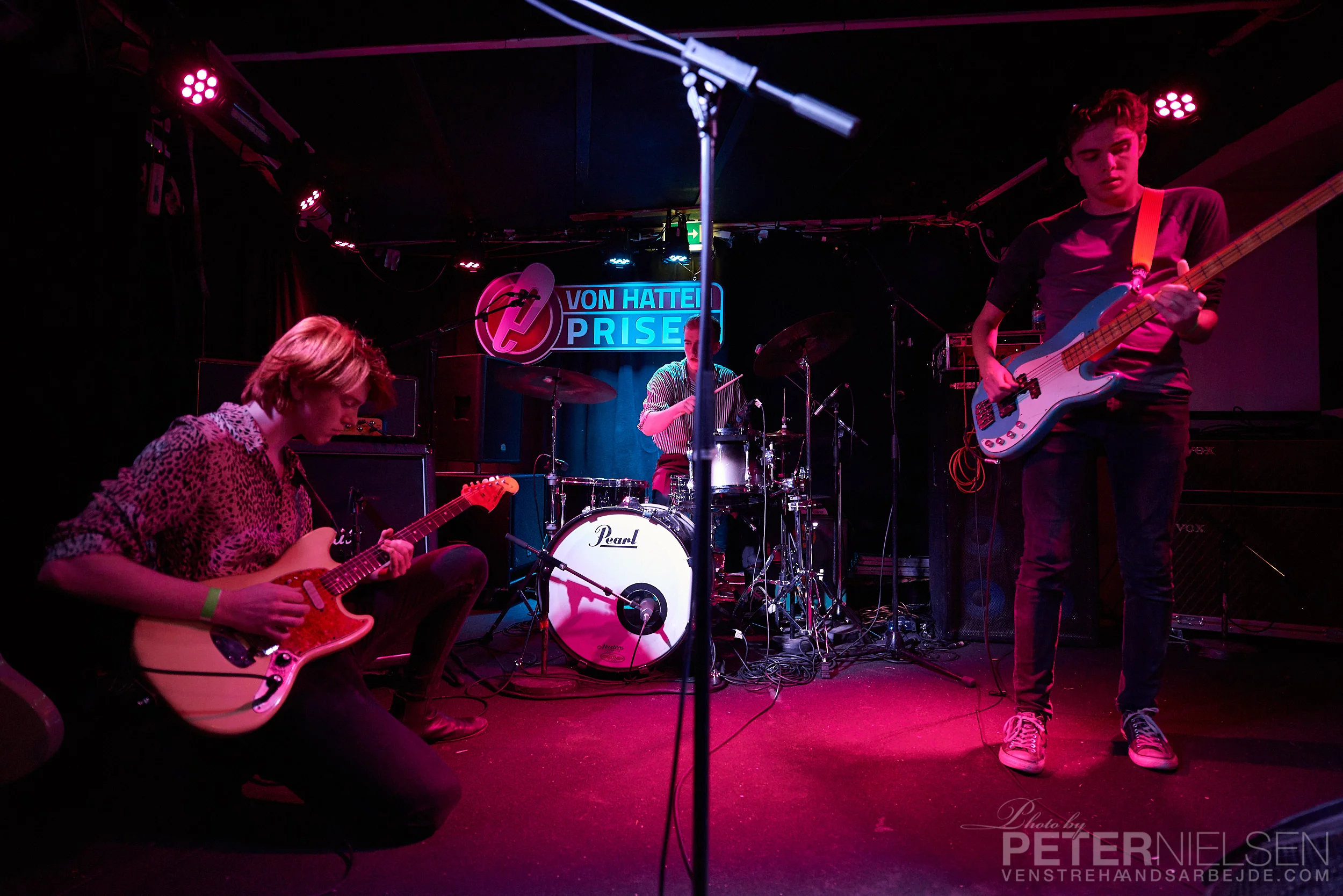  Peter L. Nielsen, www.venstrehaandsarbejde.com 