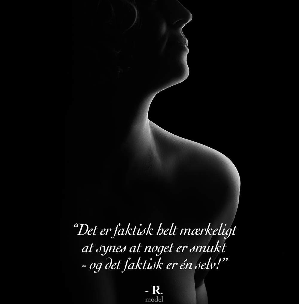 Model-citat-Renate2.png