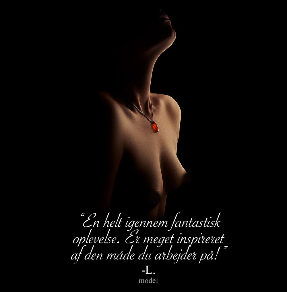 Model-citat_Lul2.jpg