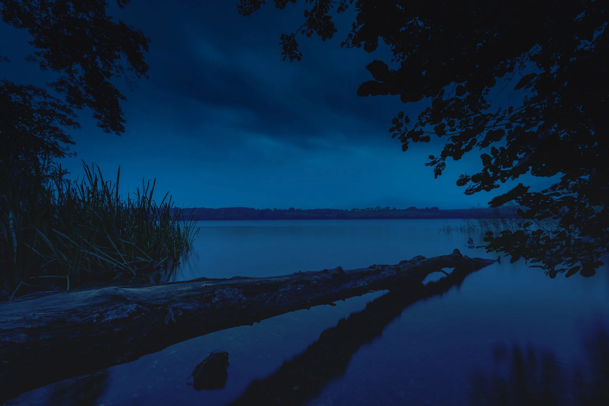 Natur-41-Edit-2.jpg