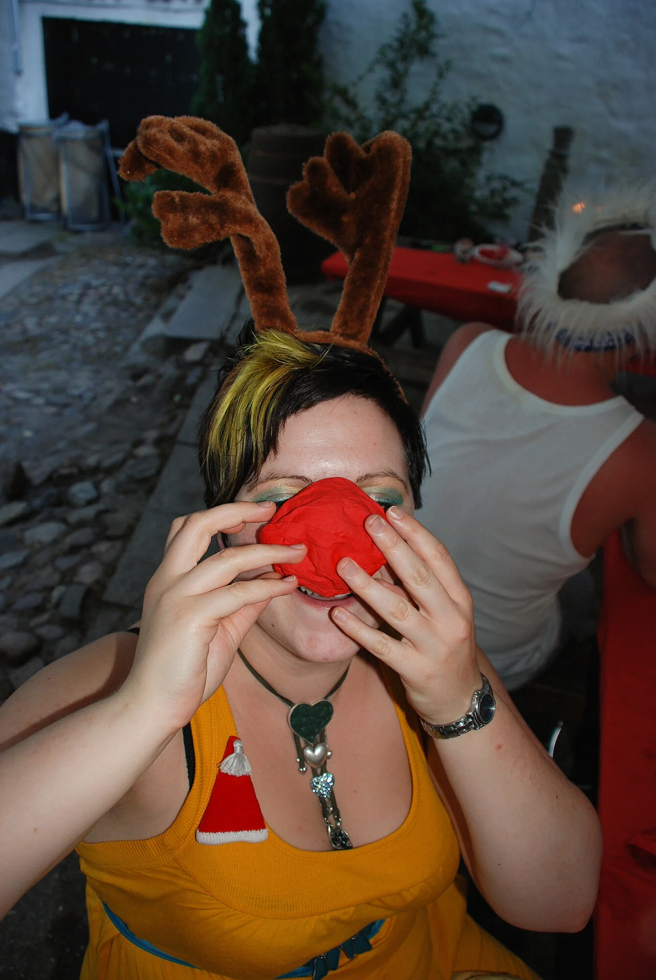 2008-07-24_(Jul_i_Juli_2008-320).jpg