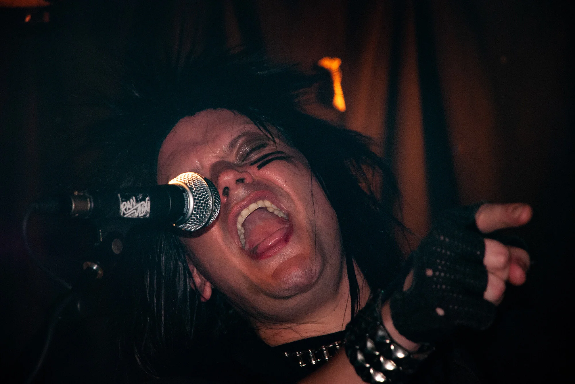 2008-10-11_(Metal_Monster_Night_2008-45).jpg