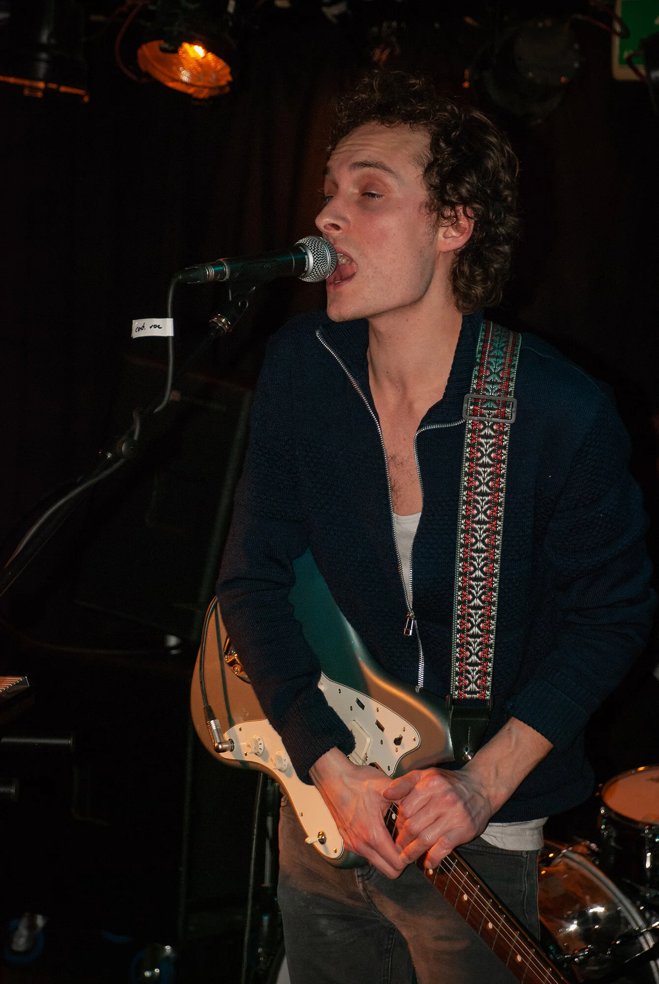2008-10-30_(Lily_Electric_04).jpg