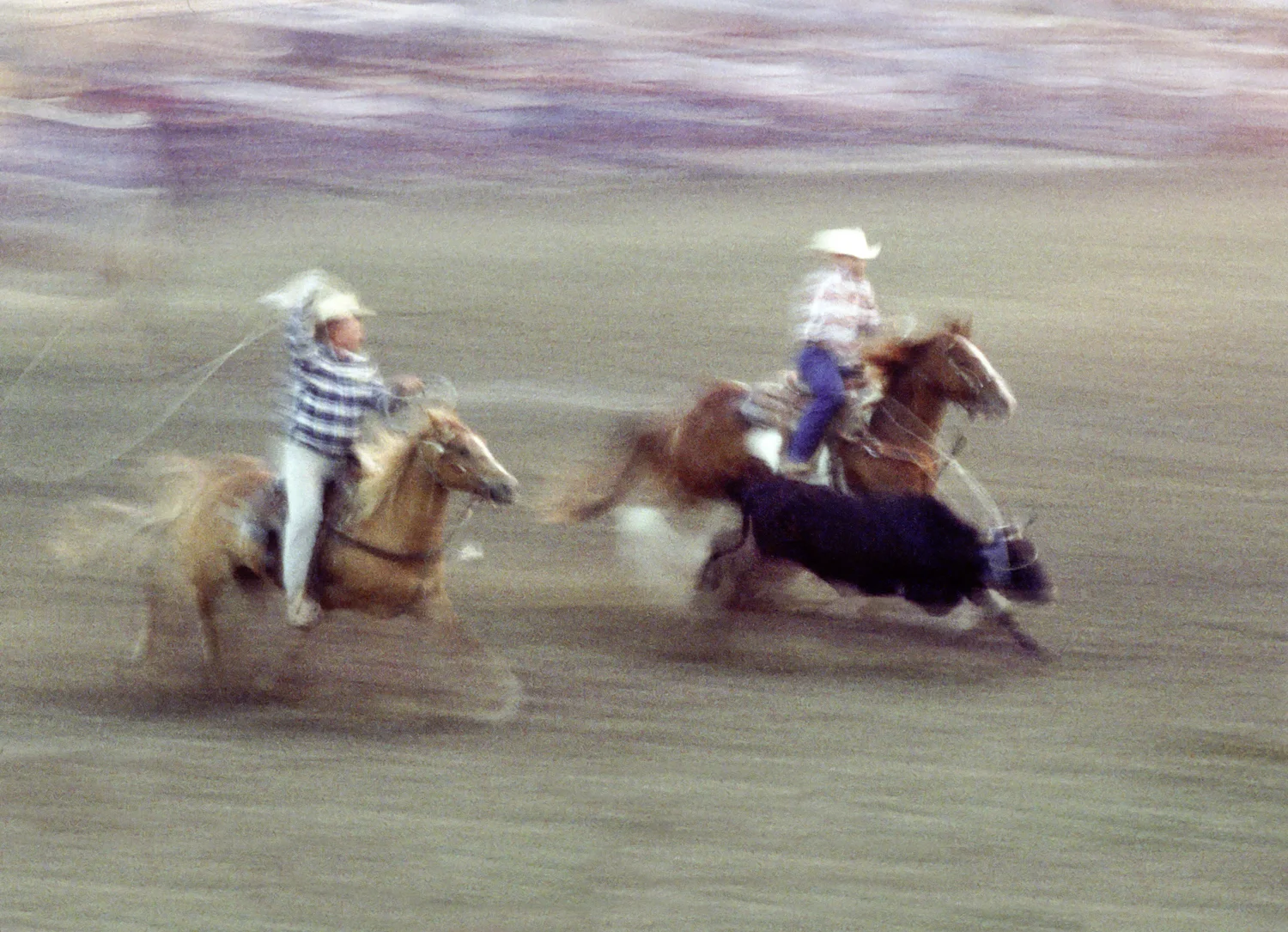 Bull Catching